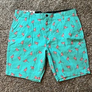Men’s Plugg flamingo shorts